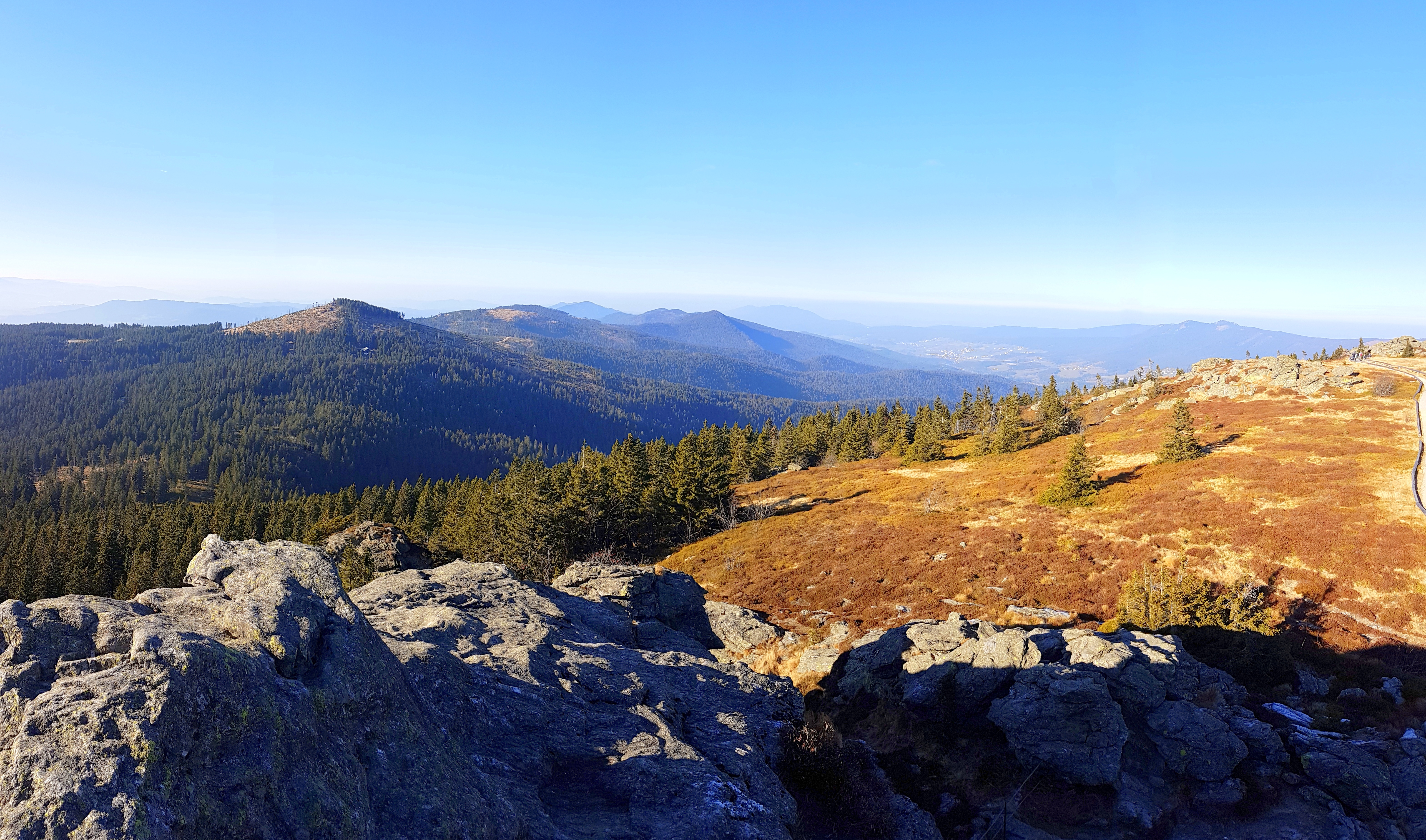 Foto: Bayerischer Wald