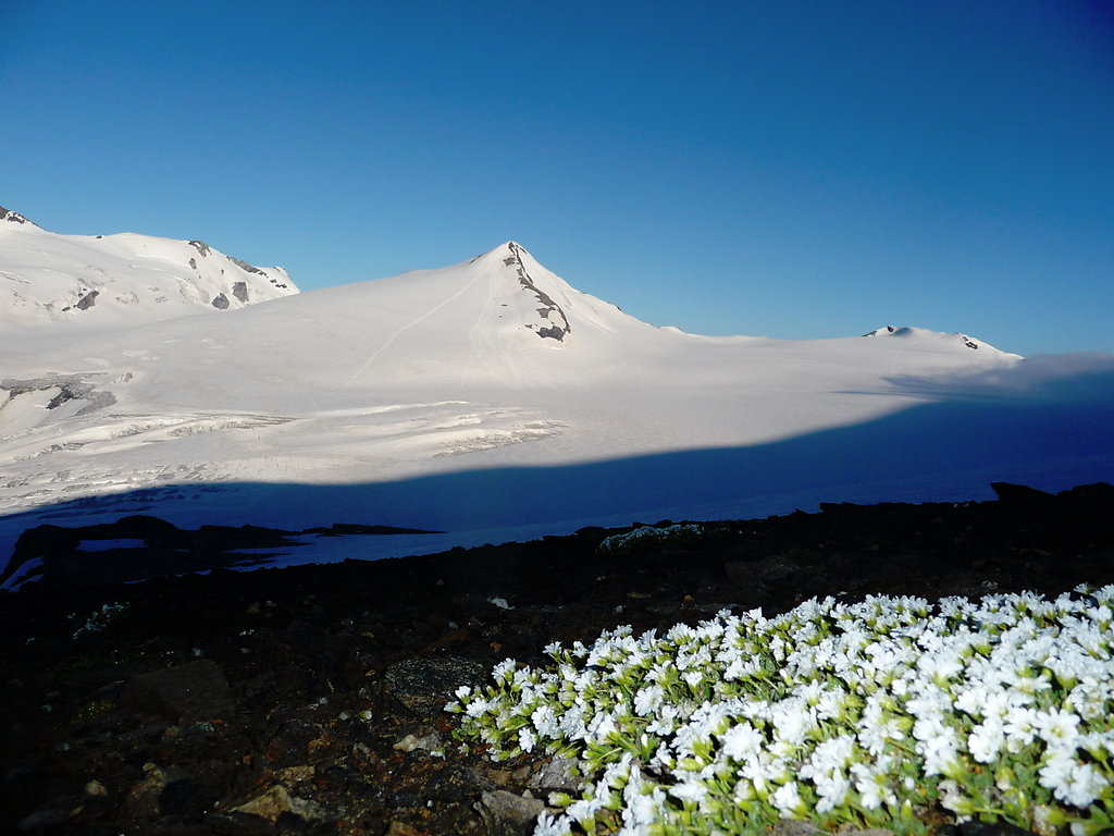 Gletscherkurs 2013